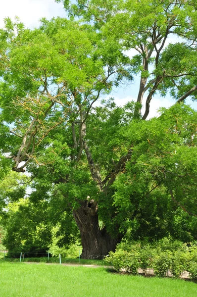 Franciaország, a marie antoinette birtokot a PA versailles parc — Stock Fotó