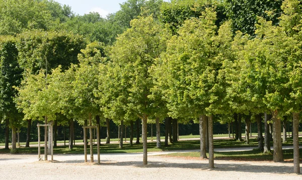 França, o castelo de Rambouillet em Les Yvelines — Fotografia de Stock