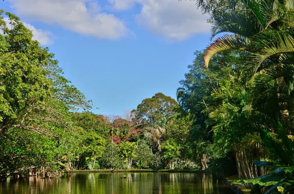 Jardin pittoresque de Pamplemousse en République Maurice — Photo