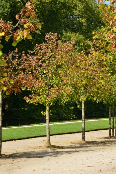 Ile de France, la pintoresca ciudad de Rambouillet — Foto de Stock