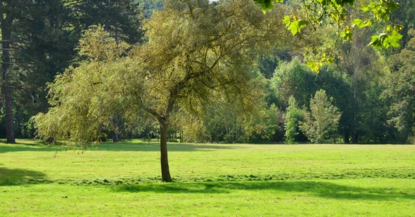 Ile de France, la pittoresca città di Rambouillet — Foto Stock