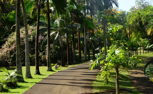 Jardin pittoresque de Pamplemousse en République Maurice — Photo