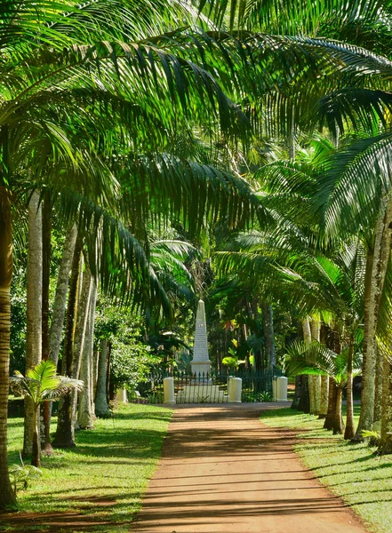 Pittoresco giardino di Pamplemousse nella Repubblica di Mauritius — Foto Stock