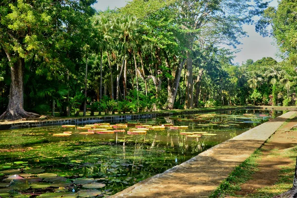 Jardin pittoresque de Pamplemousse en République Maurice — Photo