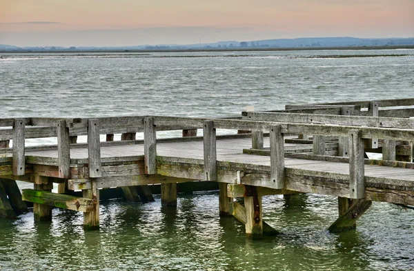 France, la ville pittoresque du Crotoy en Somme — Photo