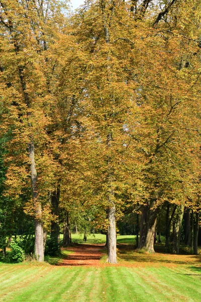 Fransa, marly le Roi klasik park — Stok fotoğraf