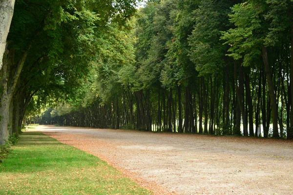 Франція, класична парк Марлі-ле-Руа — стокове фото