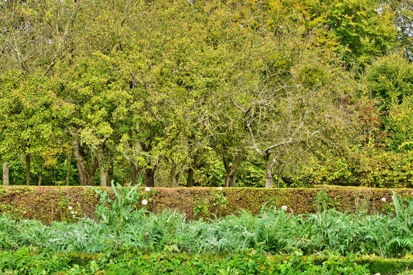 Herdade de Maria Antonieta no parc do Palácio de Versalhes — Fotografia de Stock