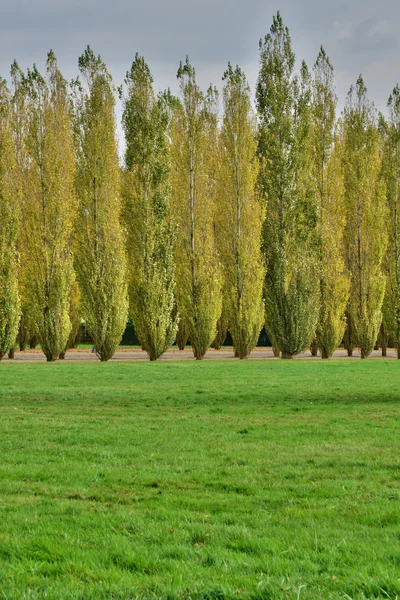 Marie antoinette Emlak yılında versailles Sarayı parc — Stok fotoğraf