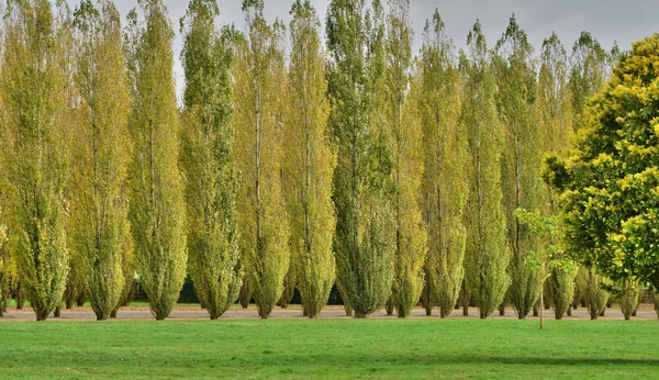 Finca María Antonieta en el parque del Palacio de Versalles —  Fotos de Stock