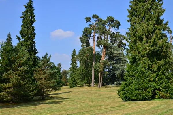 Herdade de Maria Antonieta no parc do Palácio de Versalhes — Fotografia de Stock