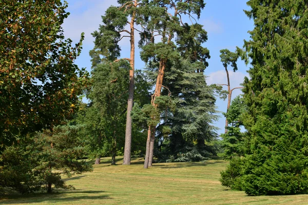 Herdade de Maria Antonieta no parc do Palácio de Versalhes — Fotografia de Stock