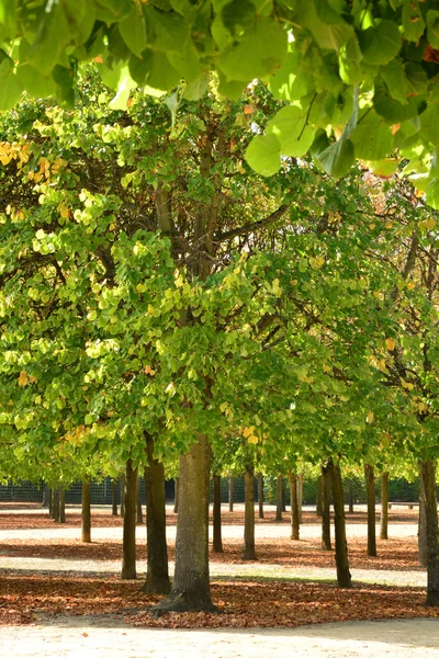 Domaine Marie Antoinette dans le parc du château de Versailles — Photo