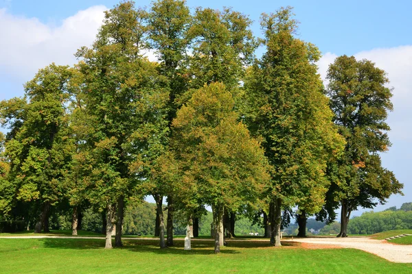 Fransa, marly le Roi klasik park — Stok fotoğraf