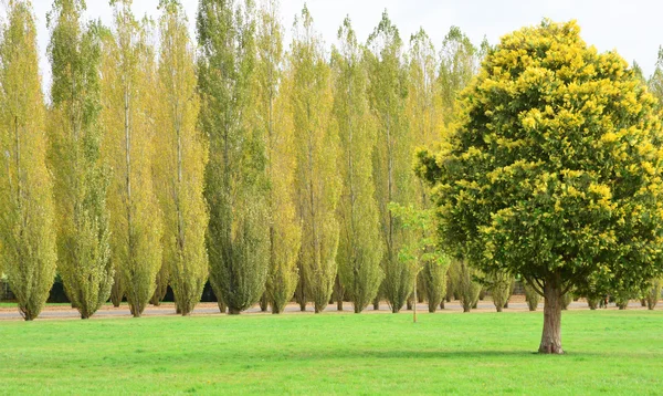 Herdade de Maria Antonieta no parc do Palácio de Versalhes — Fotografia de Stock