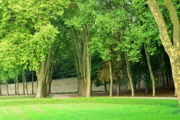 Francia, el parque clásico de Marly le Roi — Foto de Stock