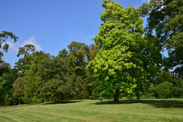 Marie antoinette Emlak yılında versailles Sarayı parc — Stok fotoğraf