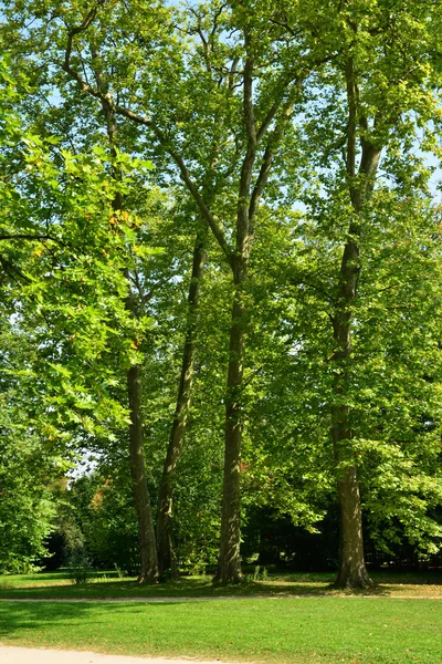 Marie antoinette anwesen im park von schloss versailles — Stockfoto