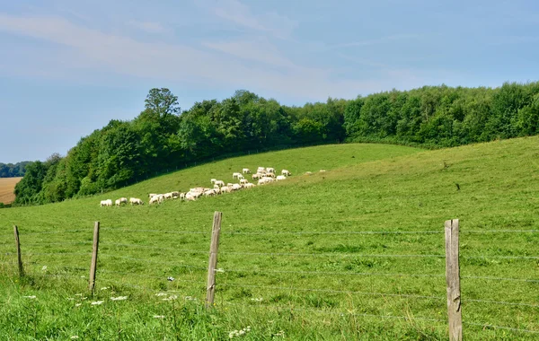 Normandie pitoresk Lisors Köyü — Stok fotoğraf