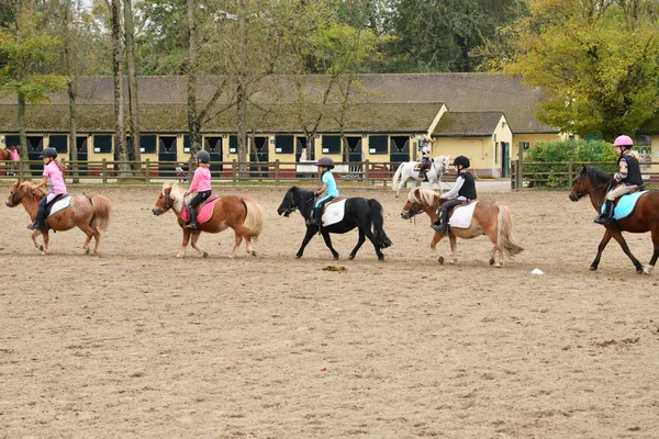 フランス、ル ・ トゥケの乗馬センター — ストック写真