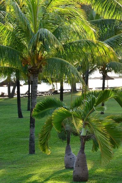 Pintoresca zona de La Pointe aux Canonniers en Mauricio Repu — Foto de Stock