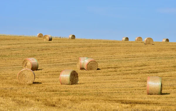 France, bales of straw in a field near Saint Clair sur Epte — Stock Photo, Image