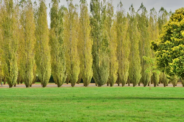 Finca María Antonieta en el parque del Palacio de Versalles —  Fotos de Stock