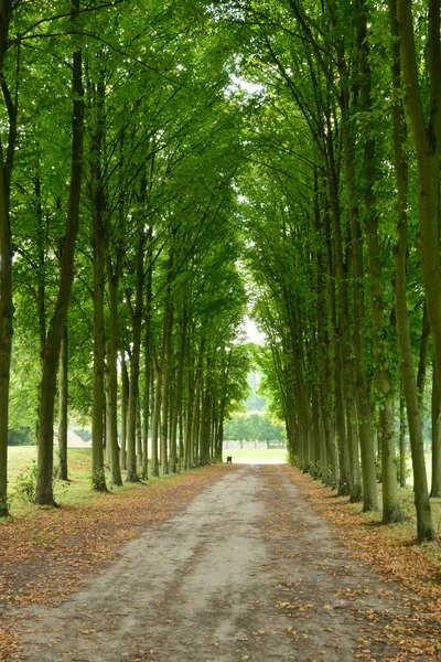 Frankrike, klassisk parken av marly le roi — Stockfoto