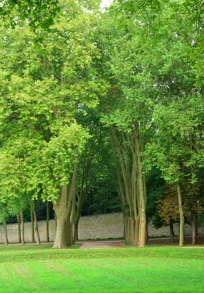 Francia, el parque clásico de Marly le Roi — Foto de Stock