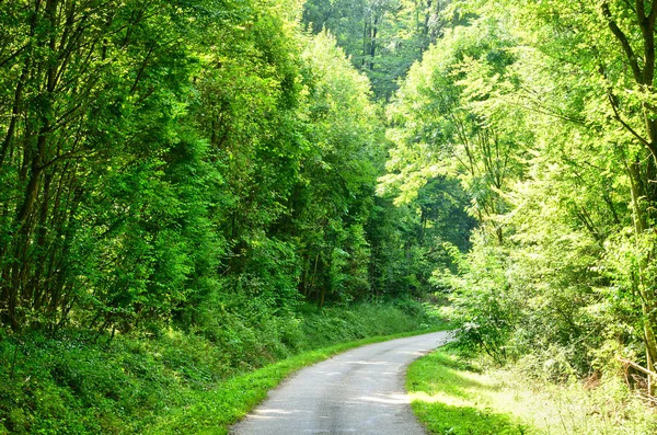 Eure, el pintoresco bosque de Lyons la Foret —  Fotos de Stock