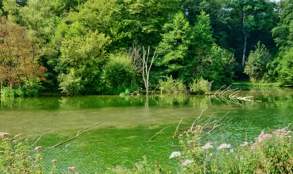 Malerisches Dorf Lisors in der Normandie — Stockfoto