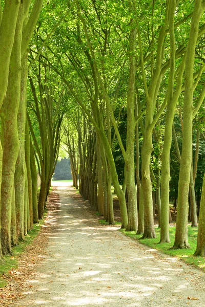 Frankreich, der klassische Park des Mergels le roi — Stockfoto