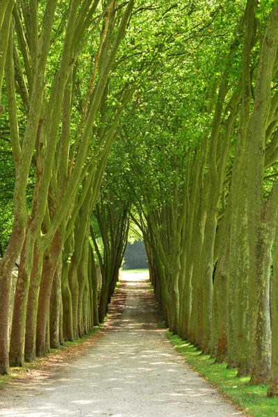 フランス、マルリー le roi の古典的な公園 — ストック写真