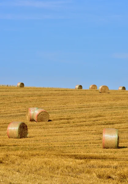 France, bales of straw in a field near Saint Clair sur Epte — Stock Photo, Image