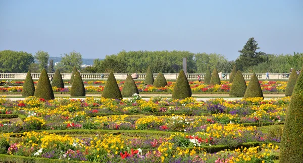 Schloss Versailles in ile de france — Stockfoto