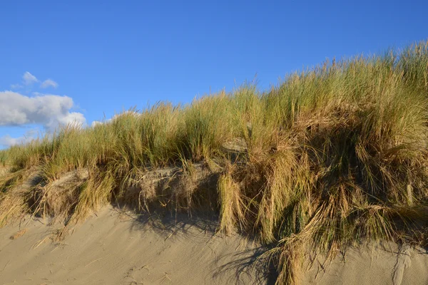 France, ville pittoresque du Touquet en Nord Pas de Calais — Photo