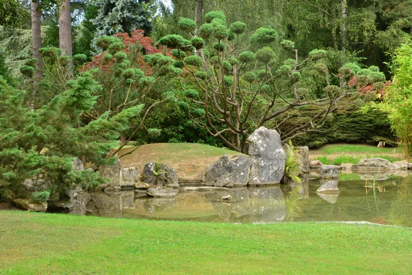Francie, malebné japonská zahrada Aincourt — Stock fotografie