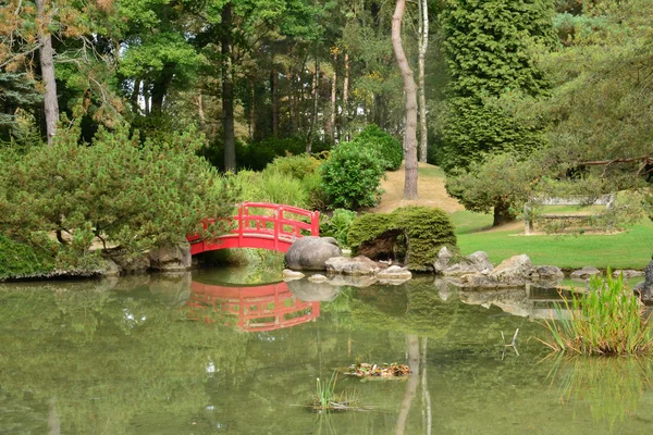 Francia, el pintoresco jardín japonés de Aincourt — Foto de Stock