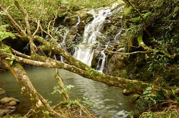 Afrika, vallei van kleuren in Chamouny in Mauritius eiland — Stockfoto