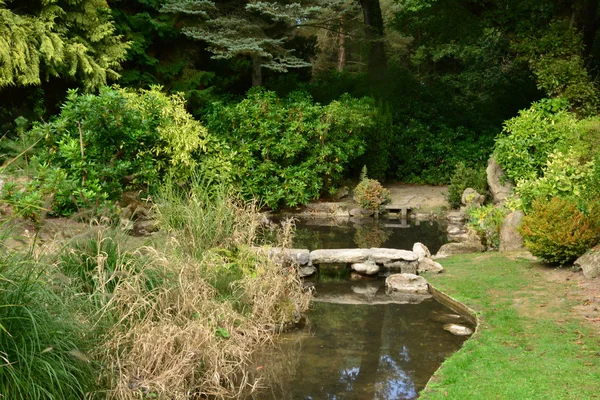 フランス、Aincourt の美しい日本庭園 — ストック写真