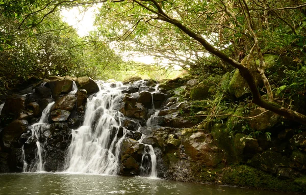 Afrika, vallei van kleuren in Chamouny in Mauritius eiland — Stockfoto