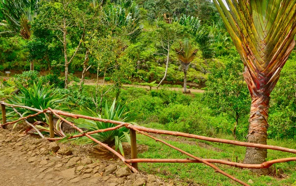 África, valle de colores en Chamouny en Isla Mauricio — Foto de Stock