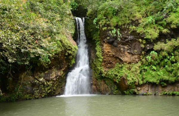 Afrika, dalen av färger i Chamouny i Mauritius Island — Stockfoto