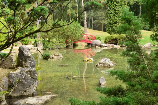 France, the picturesque japanese garden of  Aincourt — Stock Photo, Image