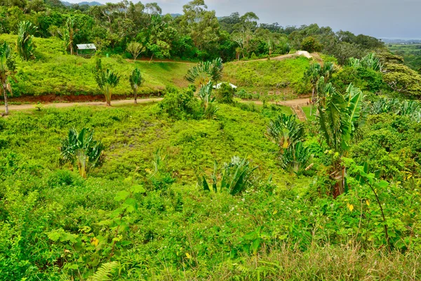 Afrique, vallée des couleurs à Chamouny Ile Maurice — Photo