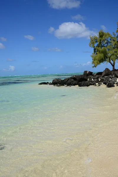 毛里求斯，如诗如画的 Ile aux 芬岛马埃堡地区 — 图库照片