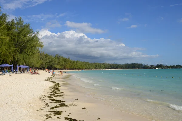 Africa, picturesque area of Mont Choisy in Mauritius — Stock Photo, Image