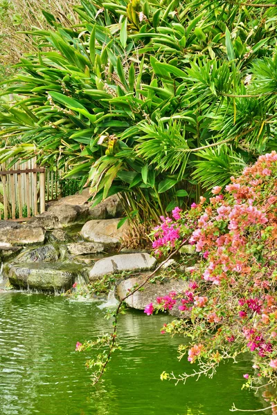 Picturesque area of la Pointe aux canonniers in Mauritius — Stock Photo, Image