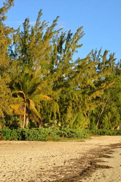 Schilderachtige gebied van la Pointe aux Hotel in Mauritius — Stockfoto