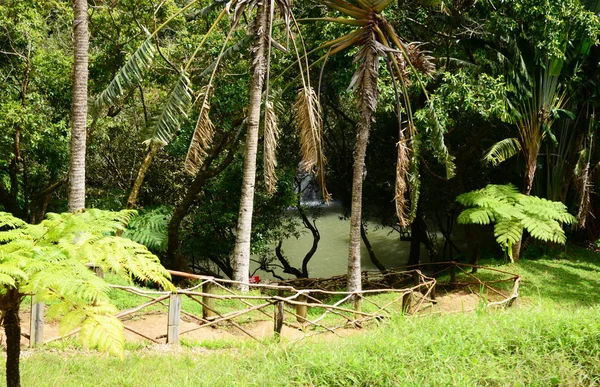 África, valle de colores en Chamouny en Isla Mauricio —  Fotos de Stock